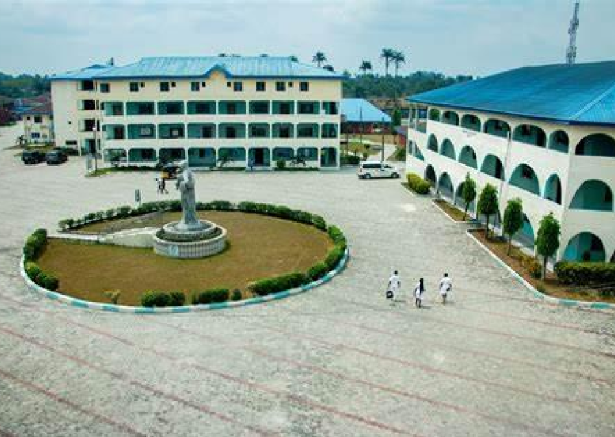 Madonna University Teaching Hospital Elele